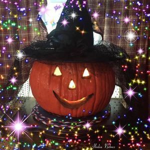 Meet your Posher, Sandy